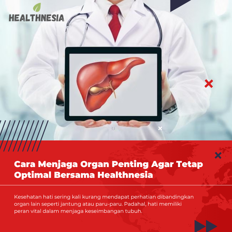 Cara Menjaga Organ Penting Agar Tetap Optimal Bersama Healthnesia
